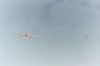 SpaceShipOne35.jpg