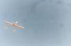SpaceShipOne37.jpg